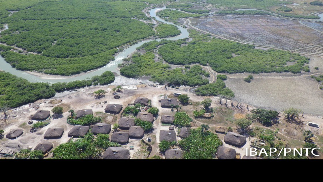 Parque Natural dos Tarrafes do Rio Cacheu